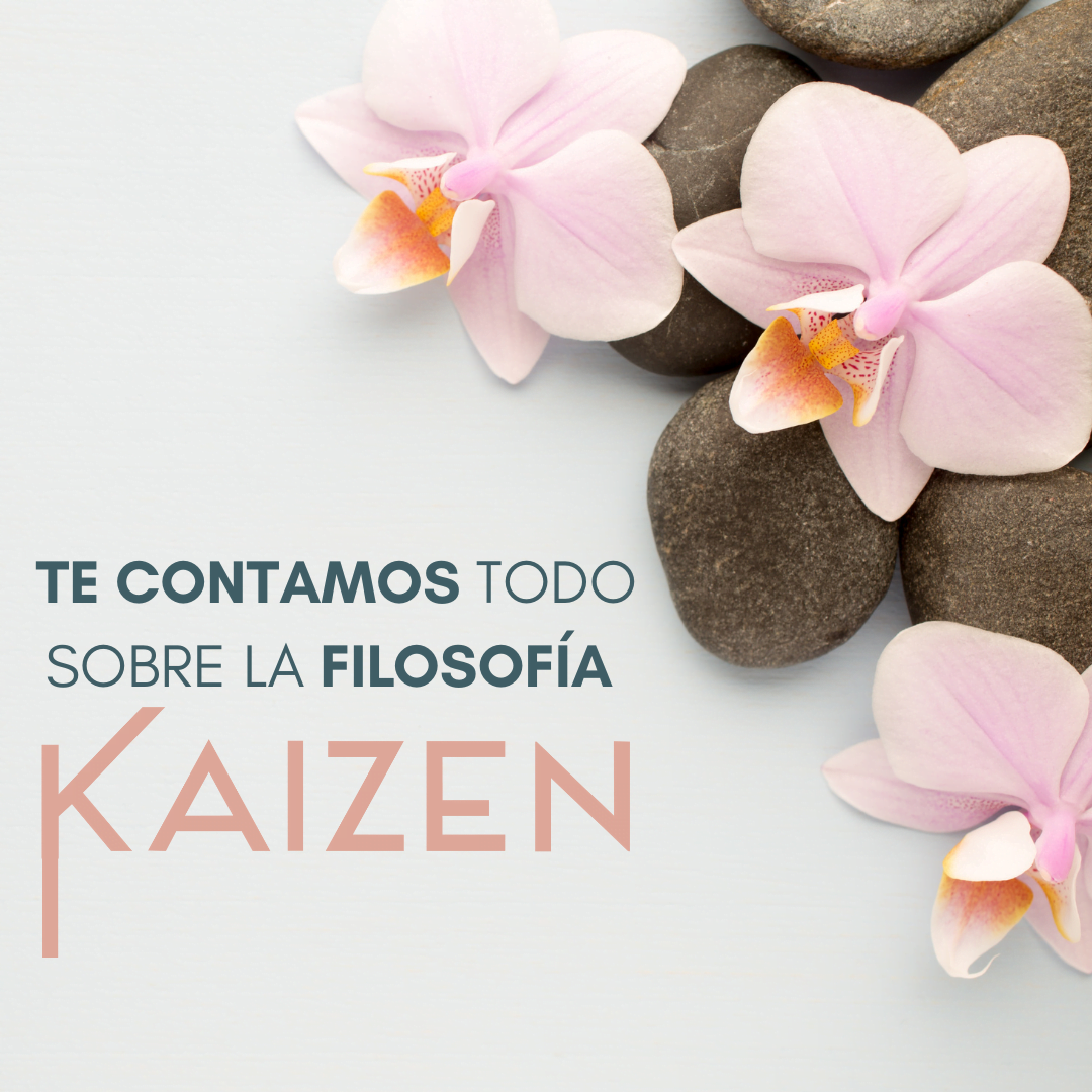 Lee más sobre el artículo Filosofía Kaizen